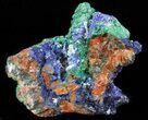 Malachite with Azurite Crystal Specimen - Morocco #60737-1